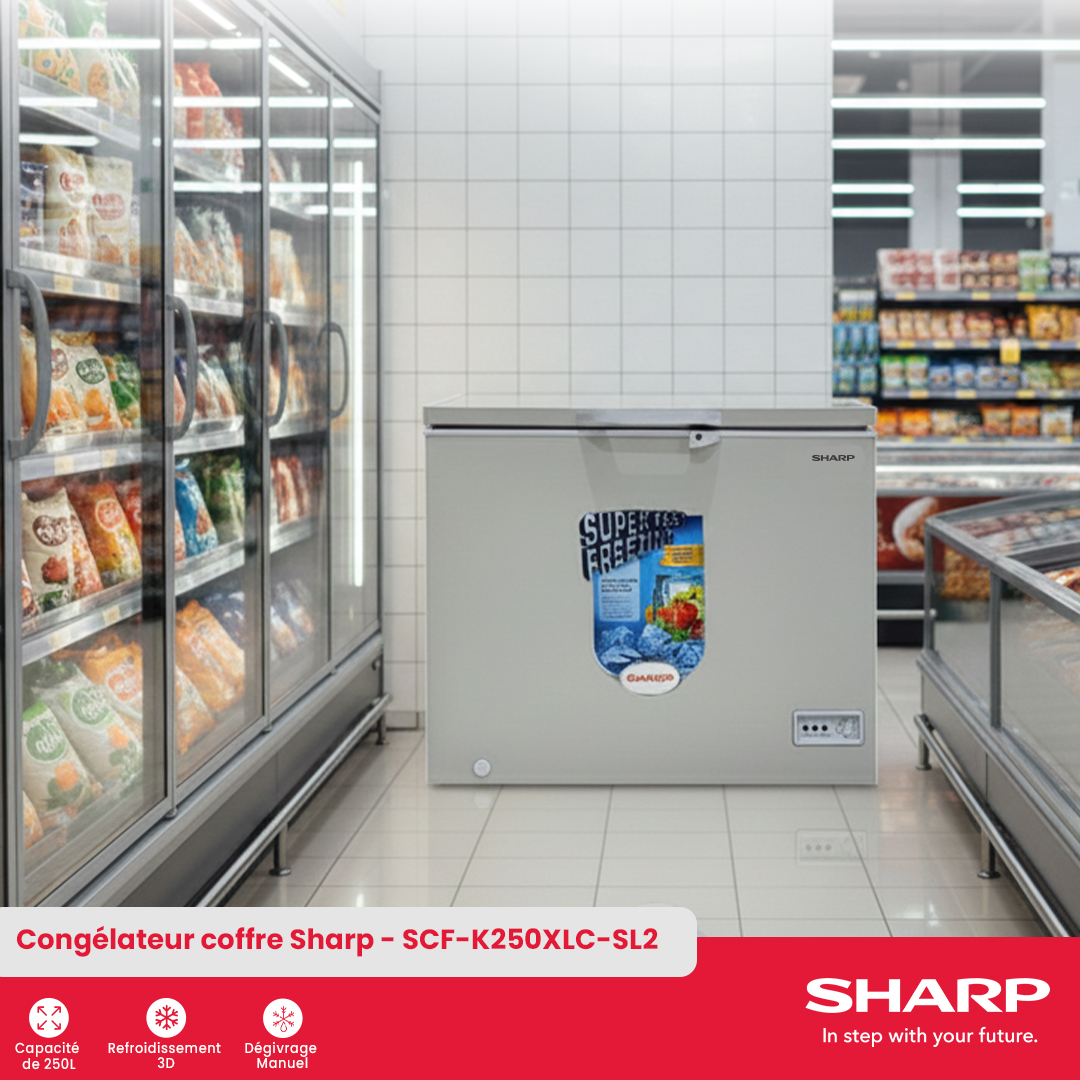Congélateur coffre Sharp : SCF-K250XLC-SL2 - 4