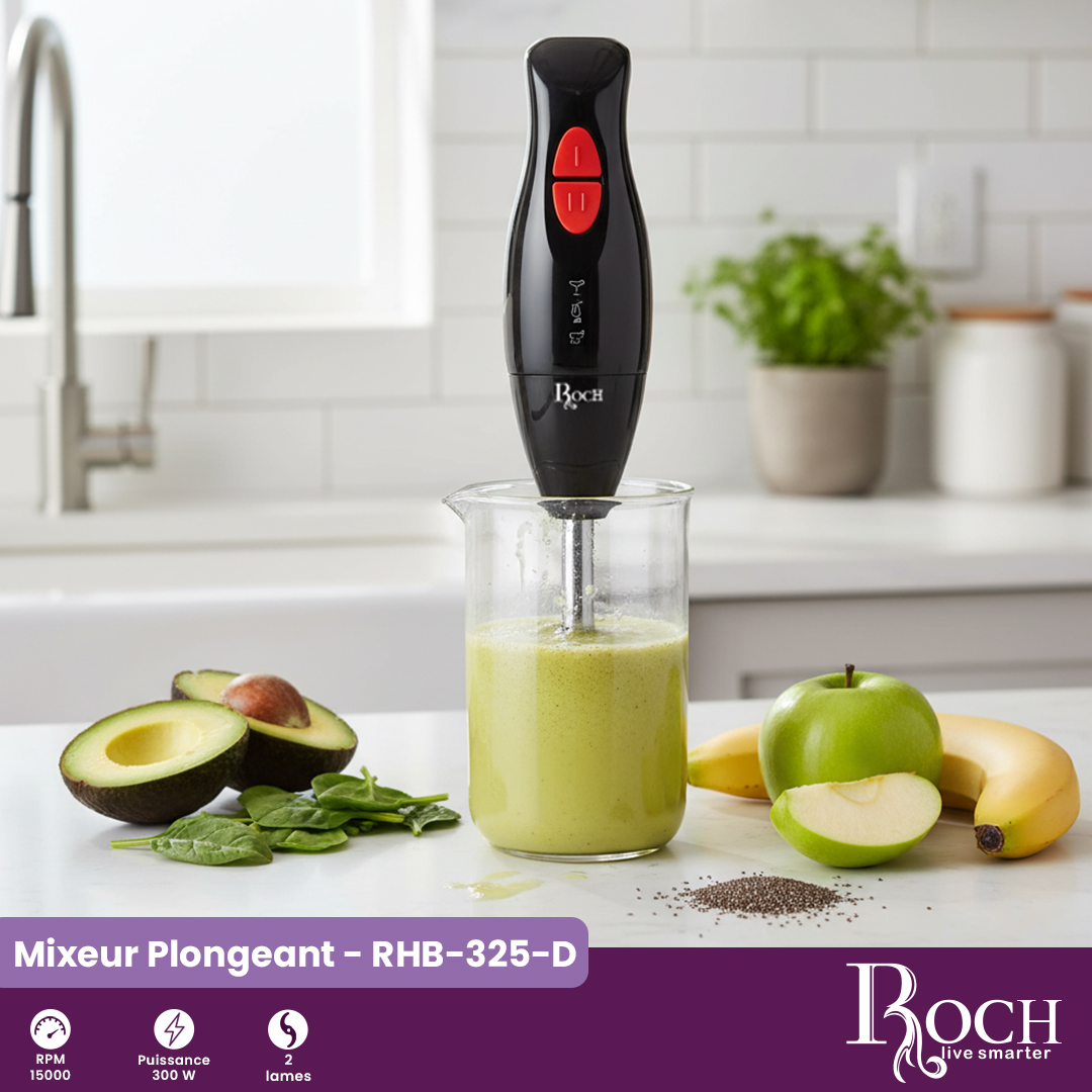 Mixeur plongeant Roch : RHB-325-D