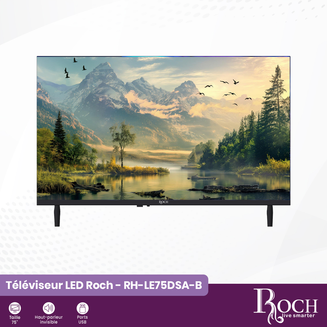 Téléviseur Roch 4K UHD : RH-LE75DSA-B