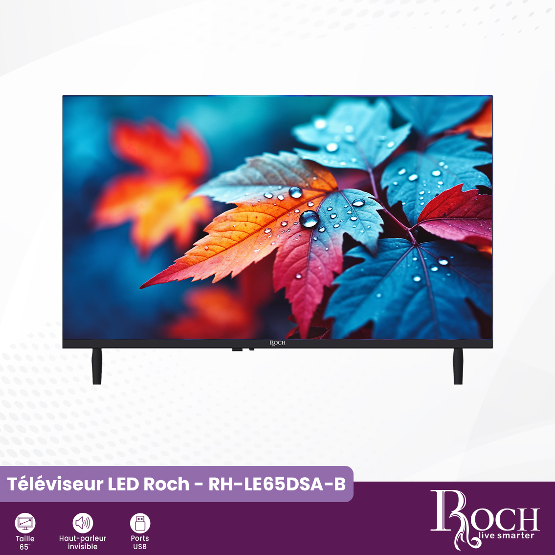 Téléviseur Roch 4K UHD : RH-LE65DSA-B