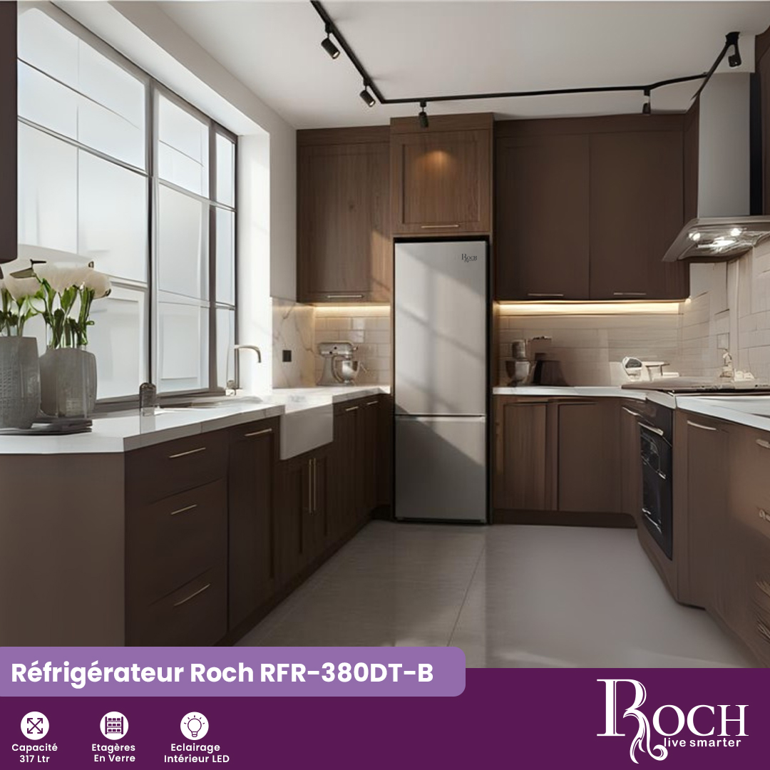 Dégivrage 2 portes Roch : RFR-380DT-B - 2