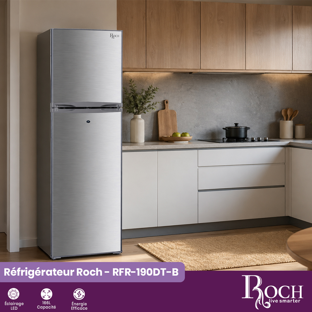 Petit Réfrigérateur Roch : RFR-190DT-B - 2