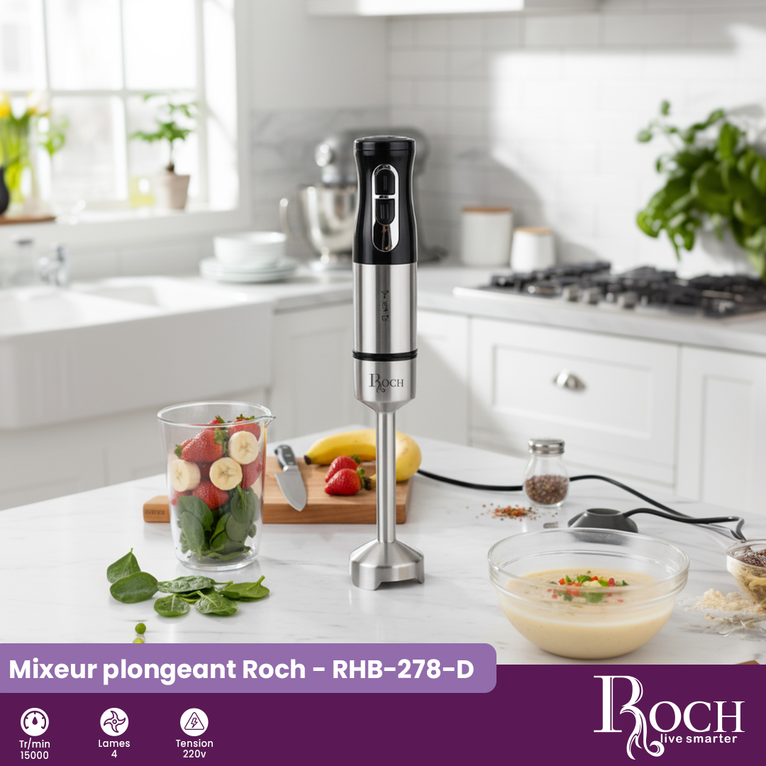 Mixeur plongeant Roch : RHB-278-D - 3