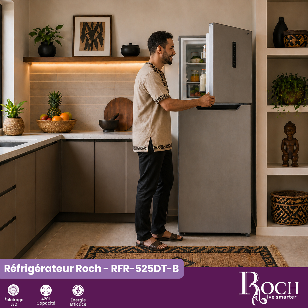 Congélateur Roch : RFR-525DT-B - 3