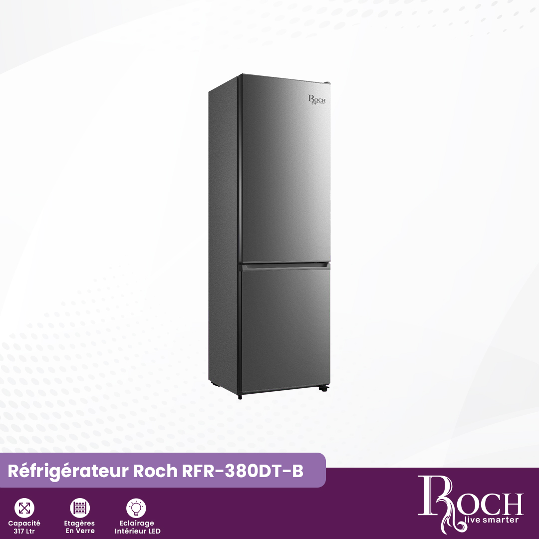 Dégivrage 2 portes Roch : RFR-380DT-B - 1