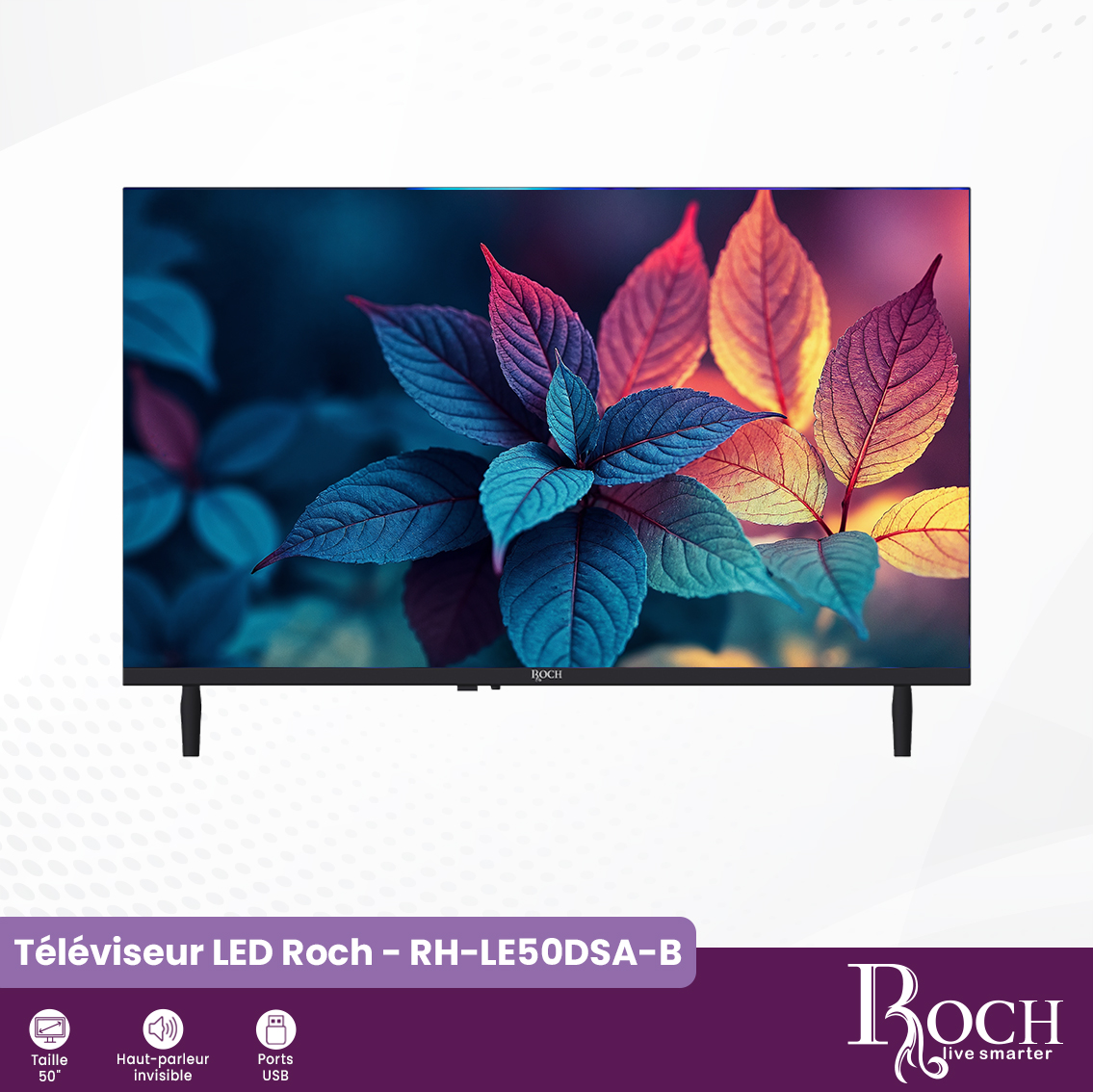 Téléviseur Roch 4K UHD : RH-LE50DSA-B - 2