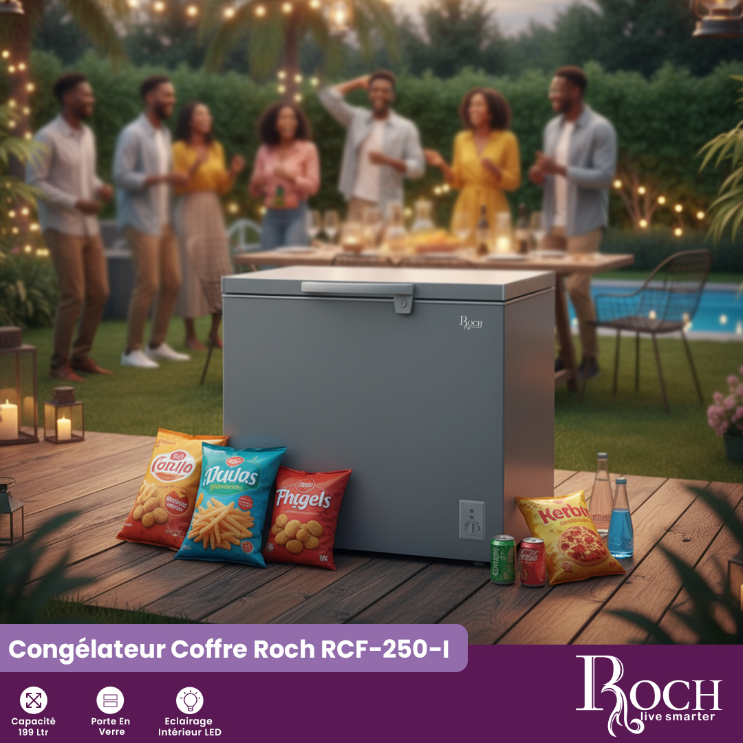 Congélateur coffre Roch : RCF-250-I - 1