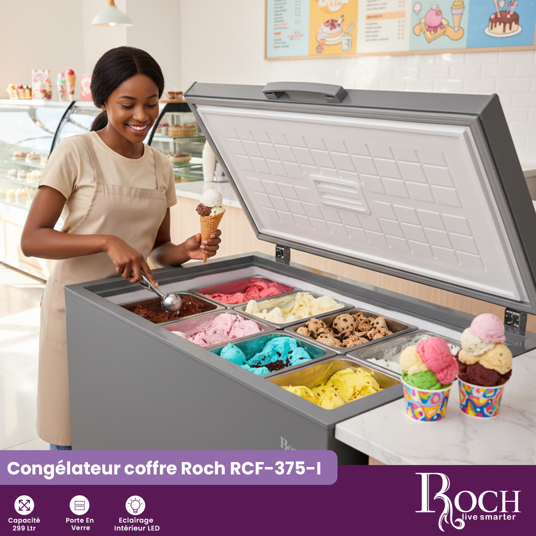 Congélateur coffre Roche : RCF-375-I - 1