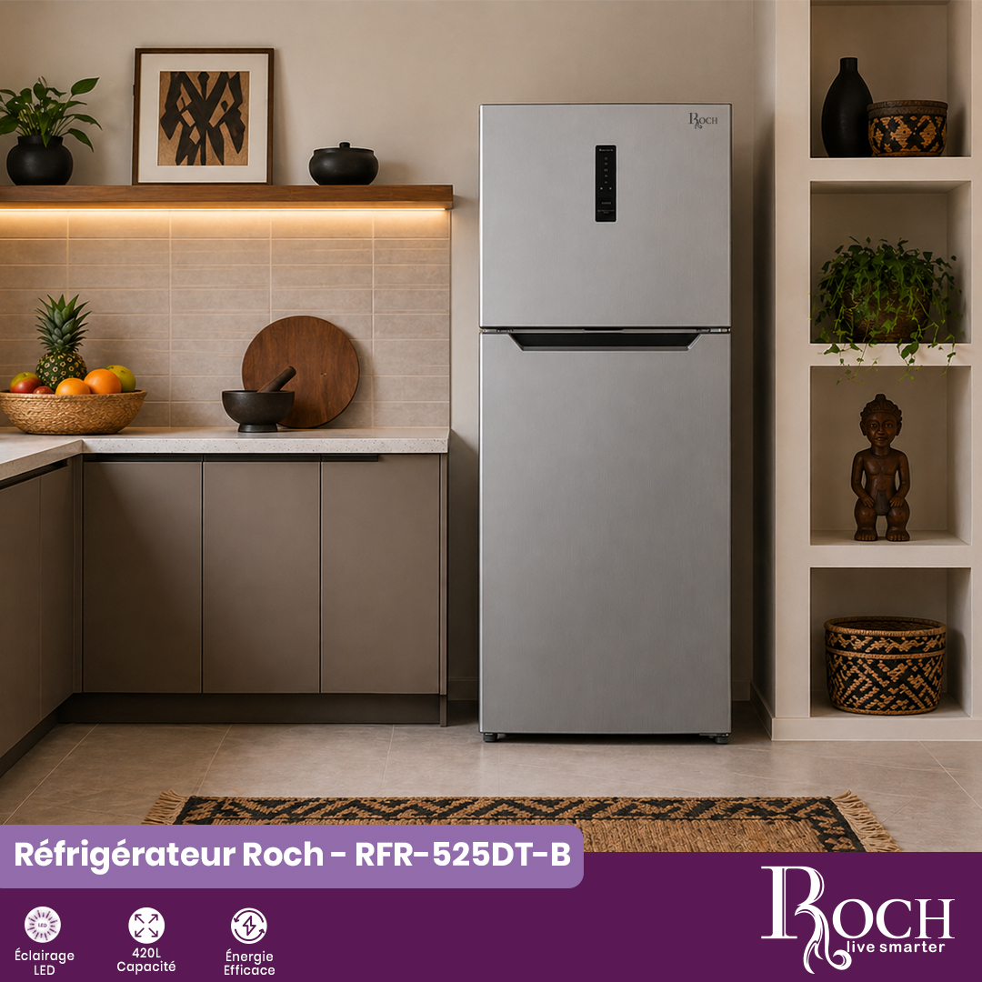 Congélateur Roch : RFR-525DT-B - 2