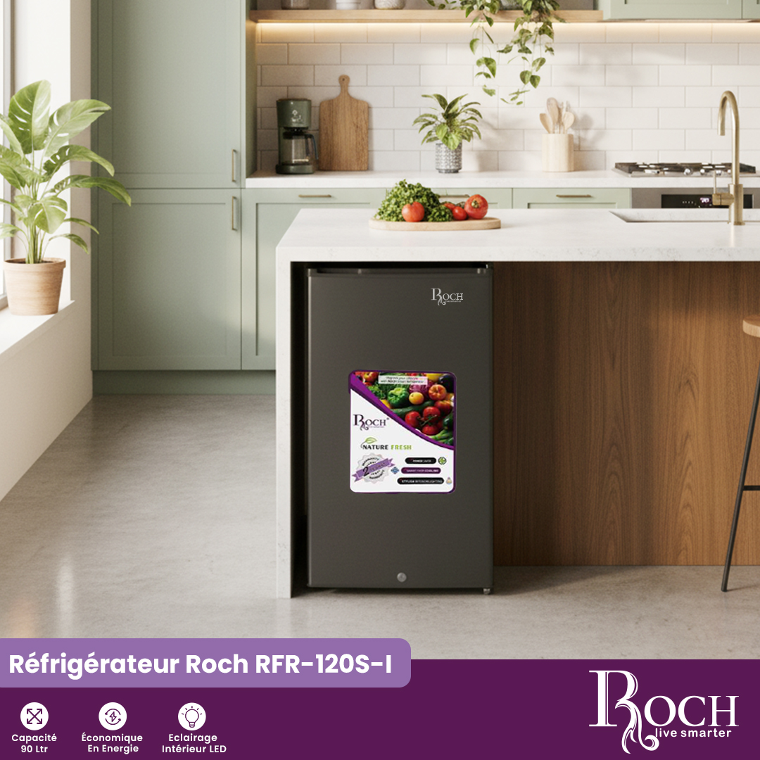 Petit Réfrigérateur Roch : RFR-120S-I - 3